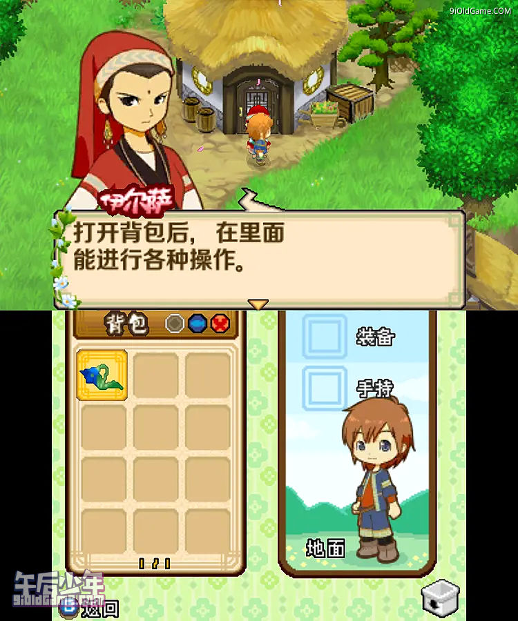 3DS 牧场物语 双子之村+ 游戏截图