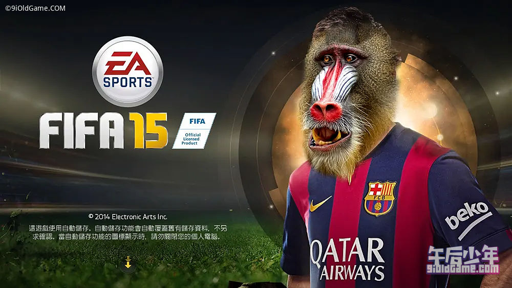 PC FIFA 15 游戏截图（已技术处理）